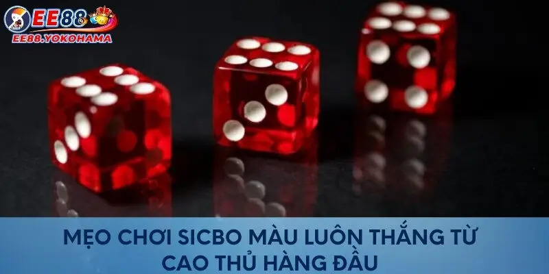 Mẹo chơi Sicbo màu luôn thắng từ cao thủ hàng đầu 