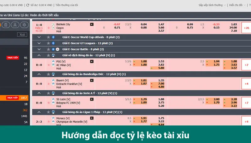 Hiểu rõ cách đọc tỷ lệ kèo cho người mới chơi cá độ trực tuyến